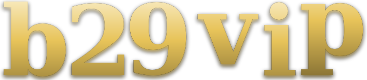 b29 vip logo